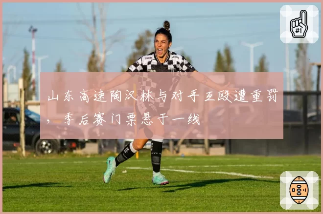山东高速陶汉林与对手互殴遭重罚,季后赛门票悬于一线