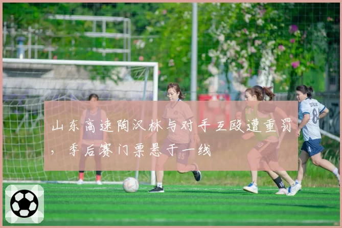 山东高速陶汉林与对手互殴遭重罚，季后赛门票悬于一线